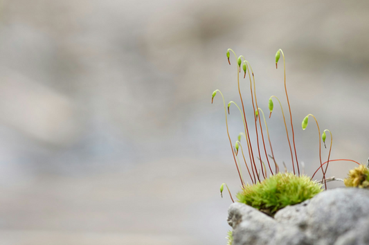 Just 101: Advance Equity and Transparency in Your Organization