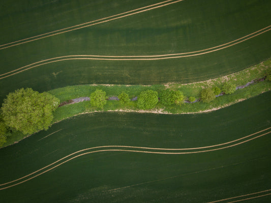Regenerative Wood Procurement Summit